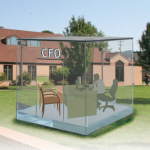 The new Form 990