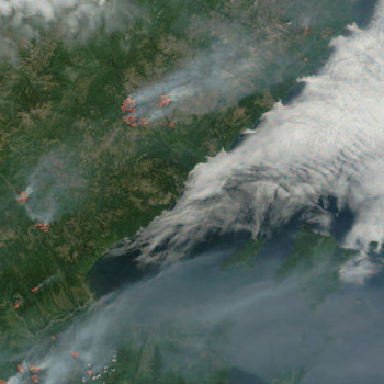 Governing in the midst of climate change