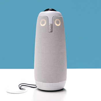 Meet the Owl