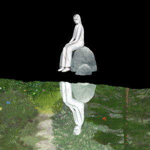 Formation of the shadow sides