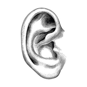 Podcast picks | From Our Ears to Yours
