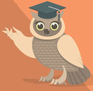 Mastering digital teaching tools