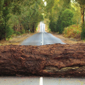 Clearing the road to ministry