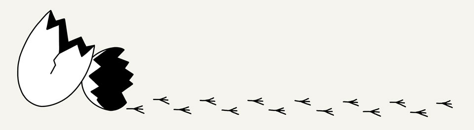 How to Hatch a Story