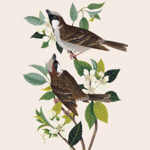 Prayer | Renewal, Remedy, and Restoration