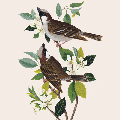 Prayer | Renewal, Remedy, and Restoration