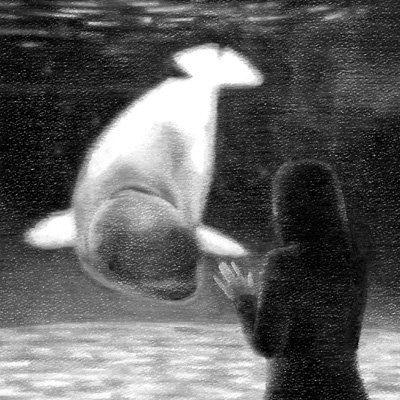 Reflecting in an AI World