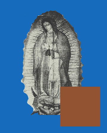 Where the Flowers Bloom